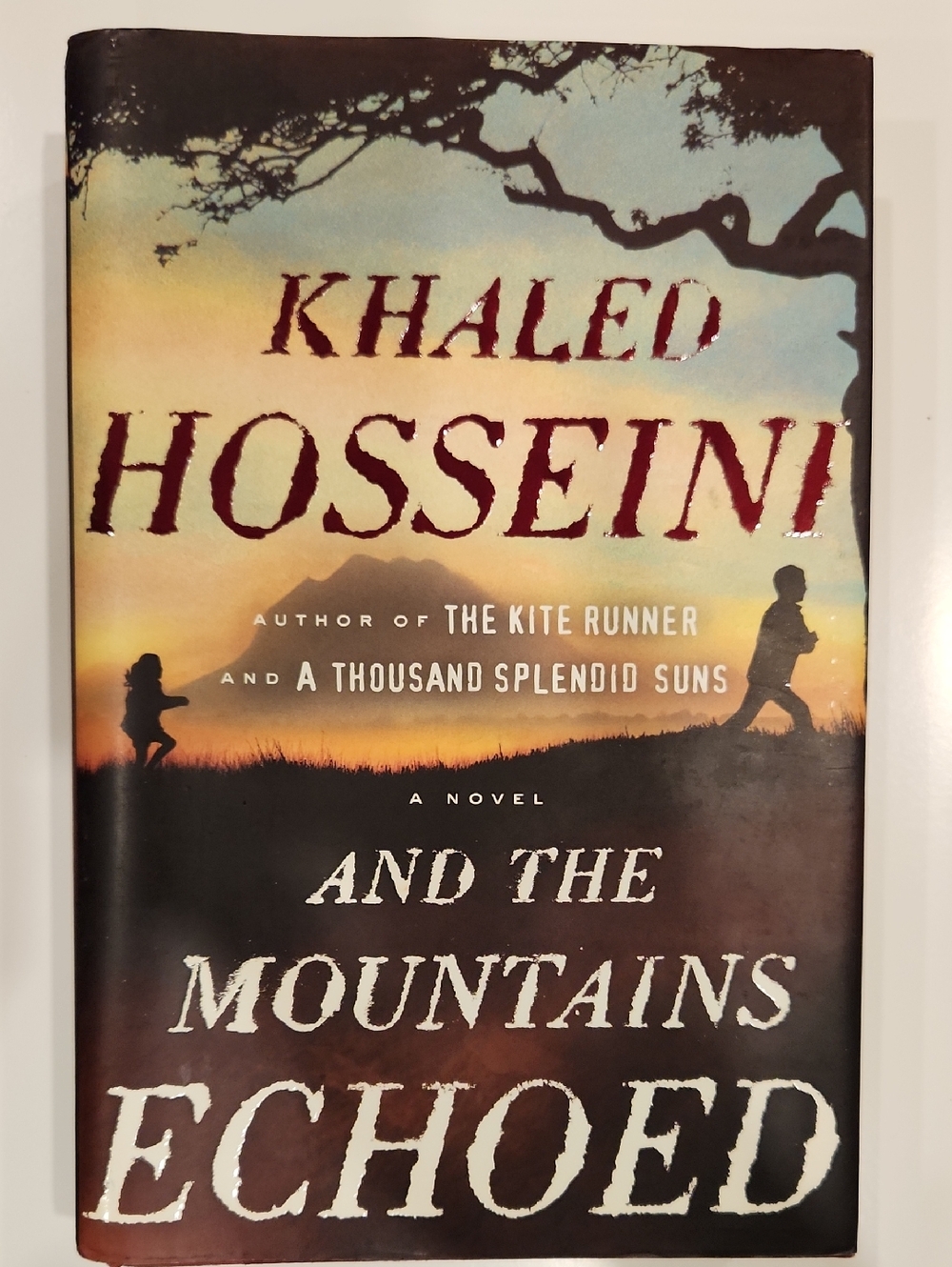 Mountains Echoed Paperback